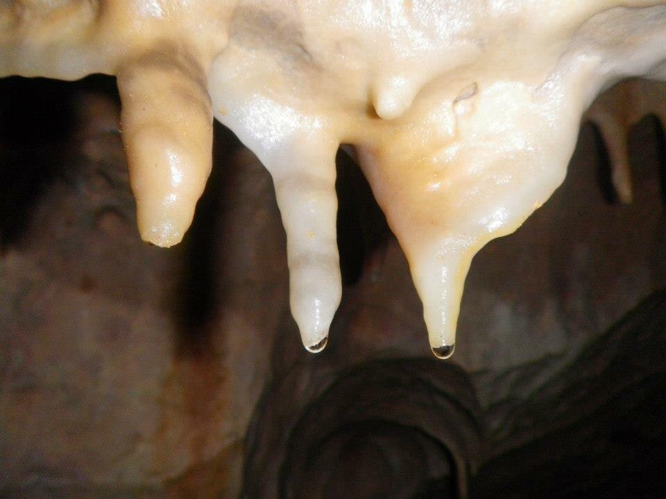 Albergue La Canadilla Uña Eksteriør bilde
